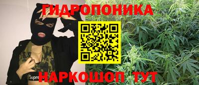 тгк Кулебаки