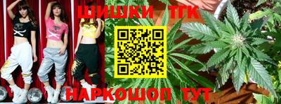 индика Кунгур