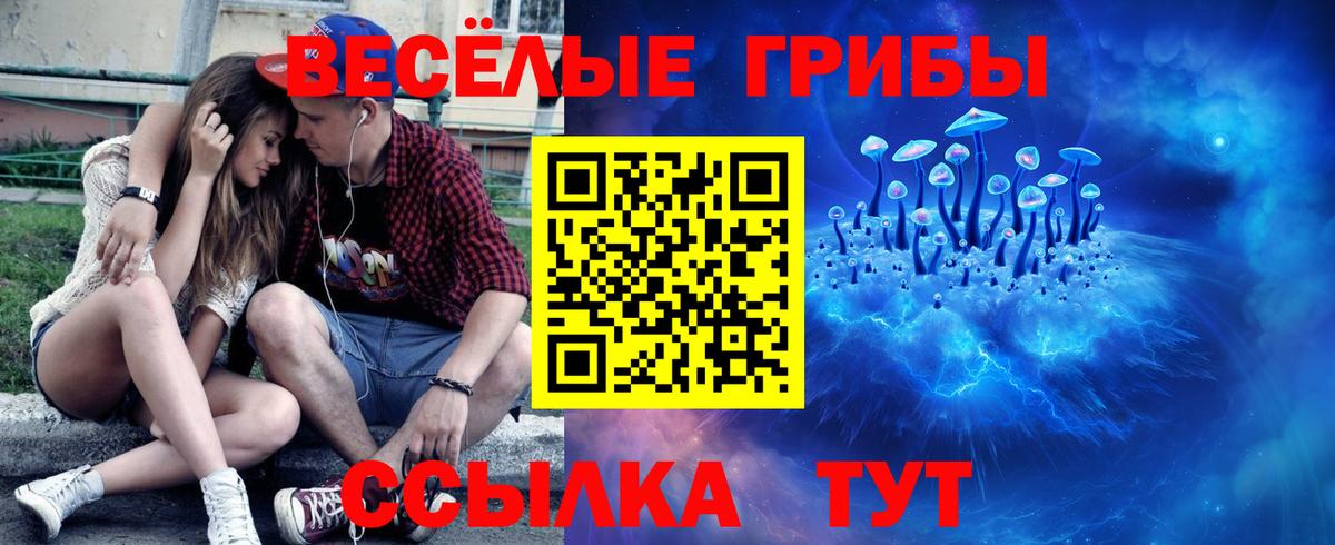 Галлюциногенные грибы Psilocybine cubensis  Вход с VPN  Кимовск 