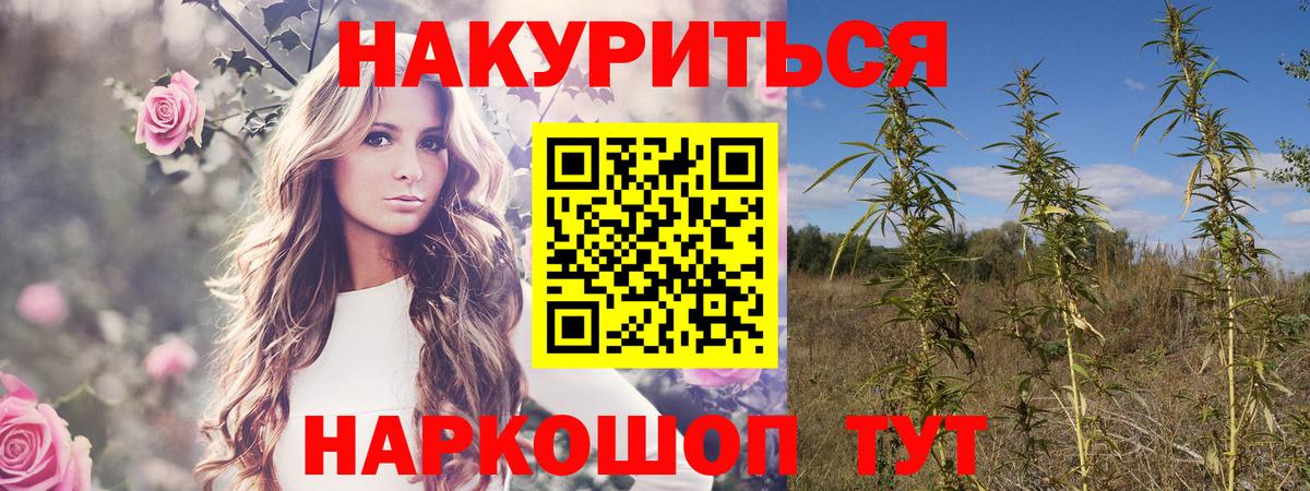 Бошки марихуана конопля Кимовск